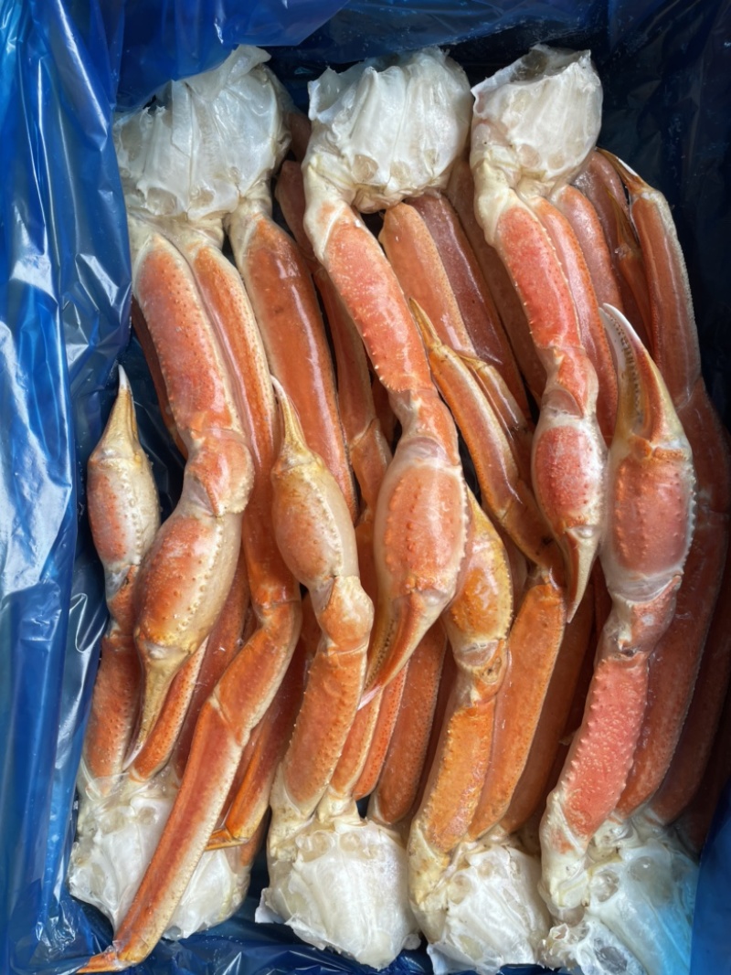 俄罗斯马加丹鳕蟹脚4L加大适合自助餐日料中餐