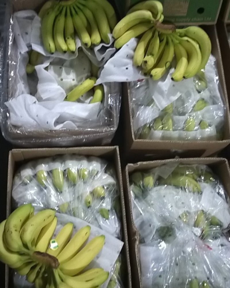精品特价精品优质香蕉，无花皮无硬心无黑心香糯甜