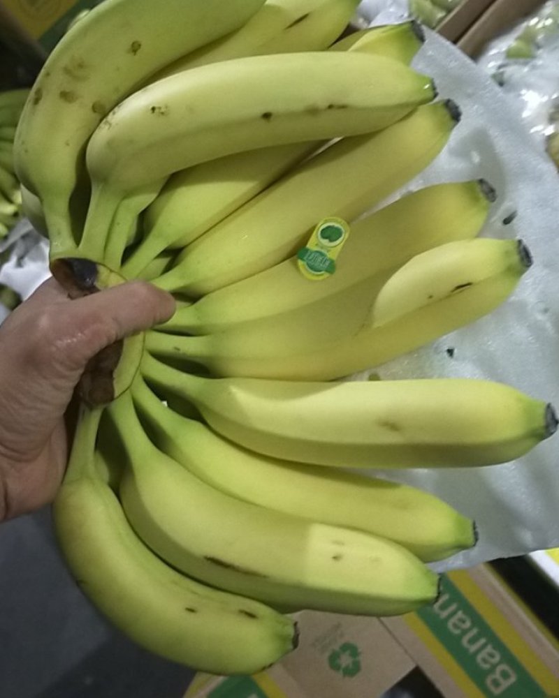 精品特价精品优质香蕉，无花皮无硬心无黑心香糯甜