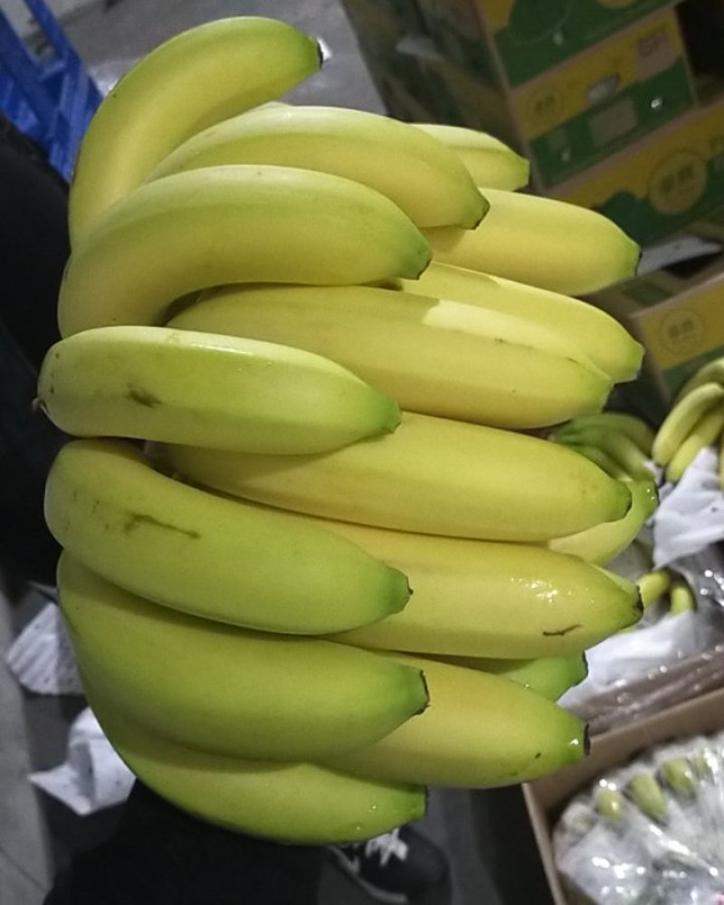 精品特价精品优质香蕉，无花皮无硬心无黑心香糯甜
