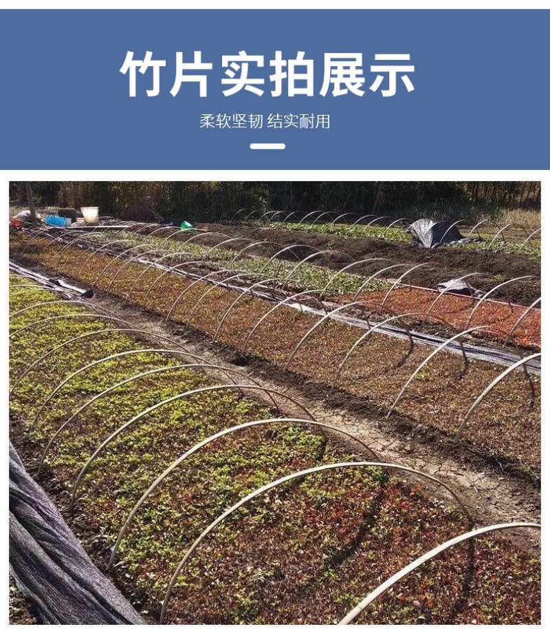 竹片竹条楠竹毛竹板温室龙骨大棚竹篱笆蔬菜架