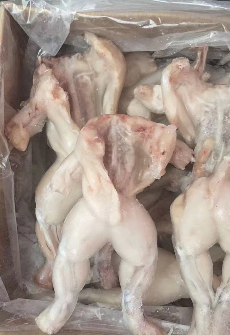 牛蛙，，开背巴沙鱼，眉公月，鮰鱼，酱料一体出