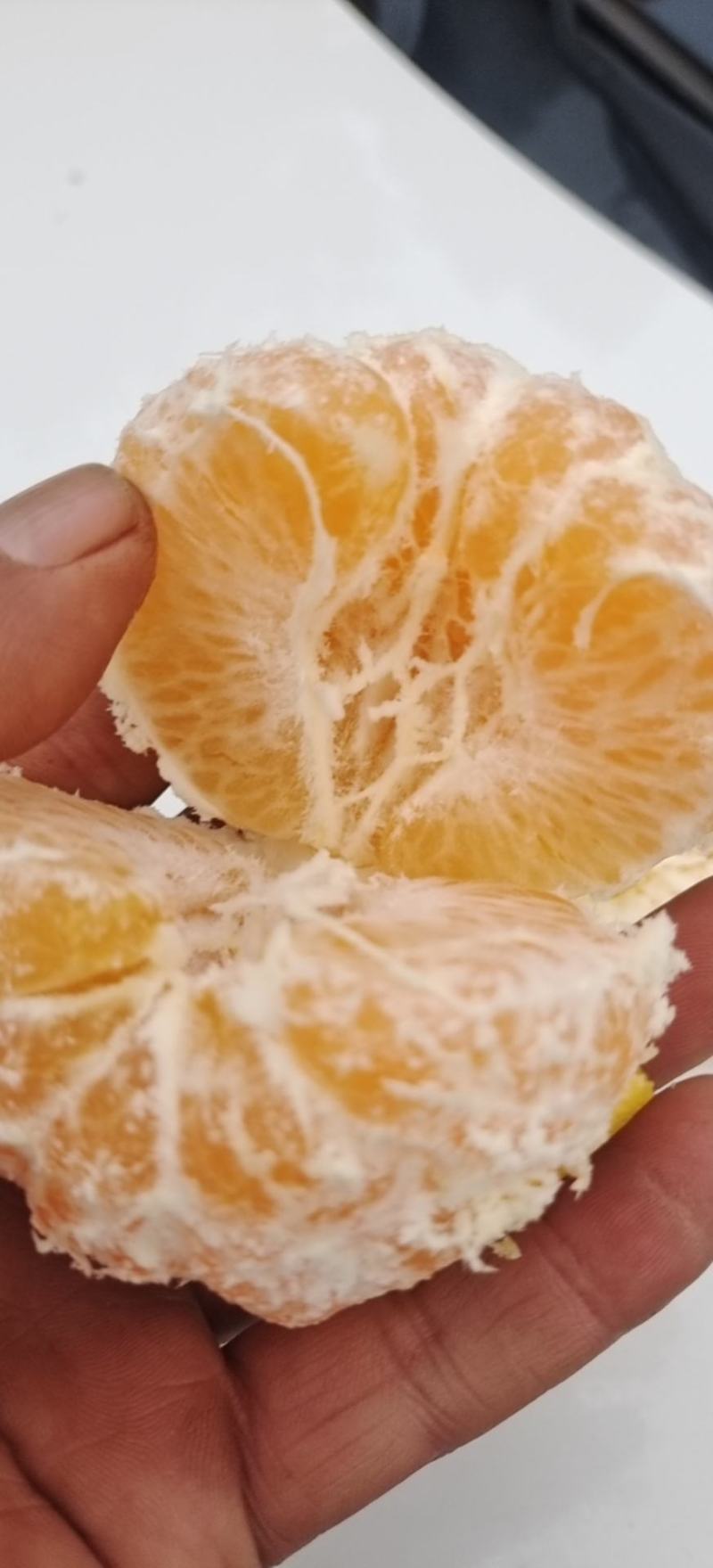 精品春见柑桔，纯甜化渣，大量上市，欢迎骚扰