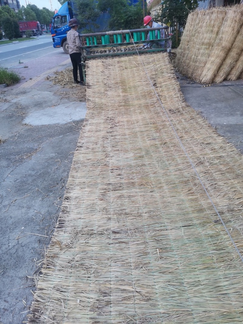 大棚保温稻草草帘。地面防滑草垫，绿化道路工程覆盖稻草