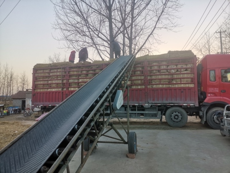 大棚保温稻草草帘。地面防滑草垫，绿化道路工程覆盖稻草