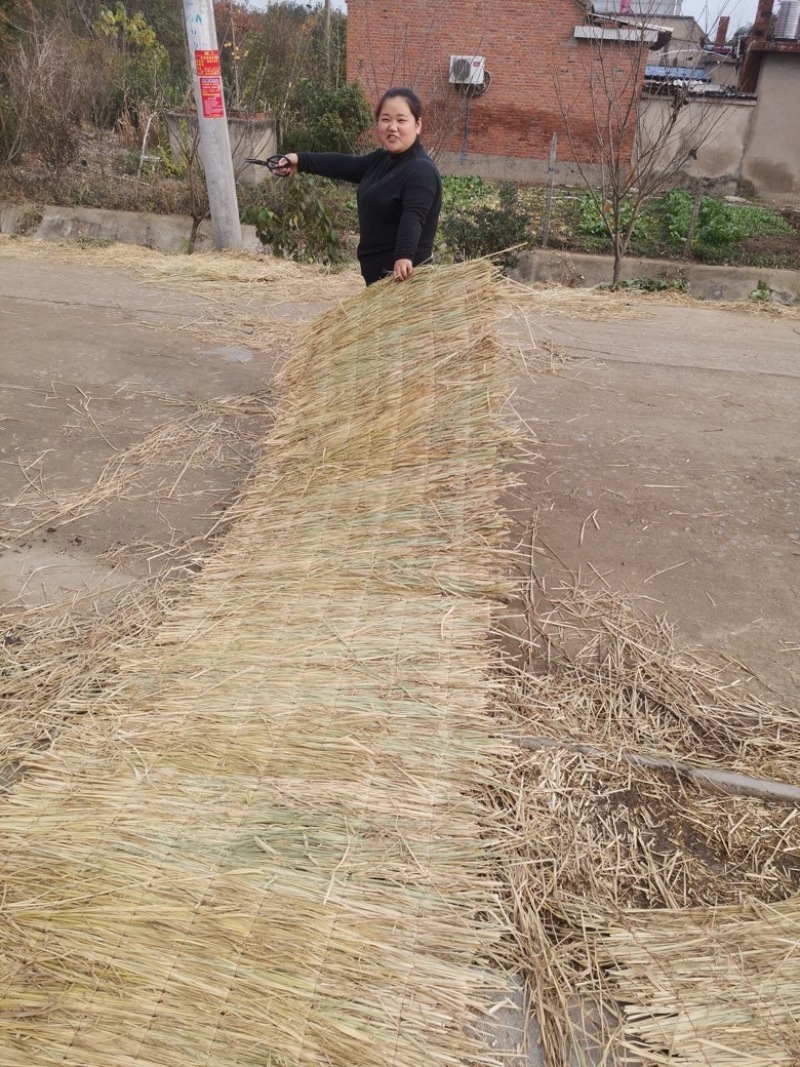 大棚保温稻草草帘。地面防滑草垫，绿化道路工程覆盖稻草