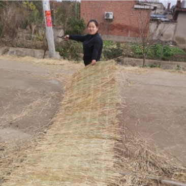 大棚保温稻草草帘。地面防滑草垫，绿化道路工程覆盖稻草