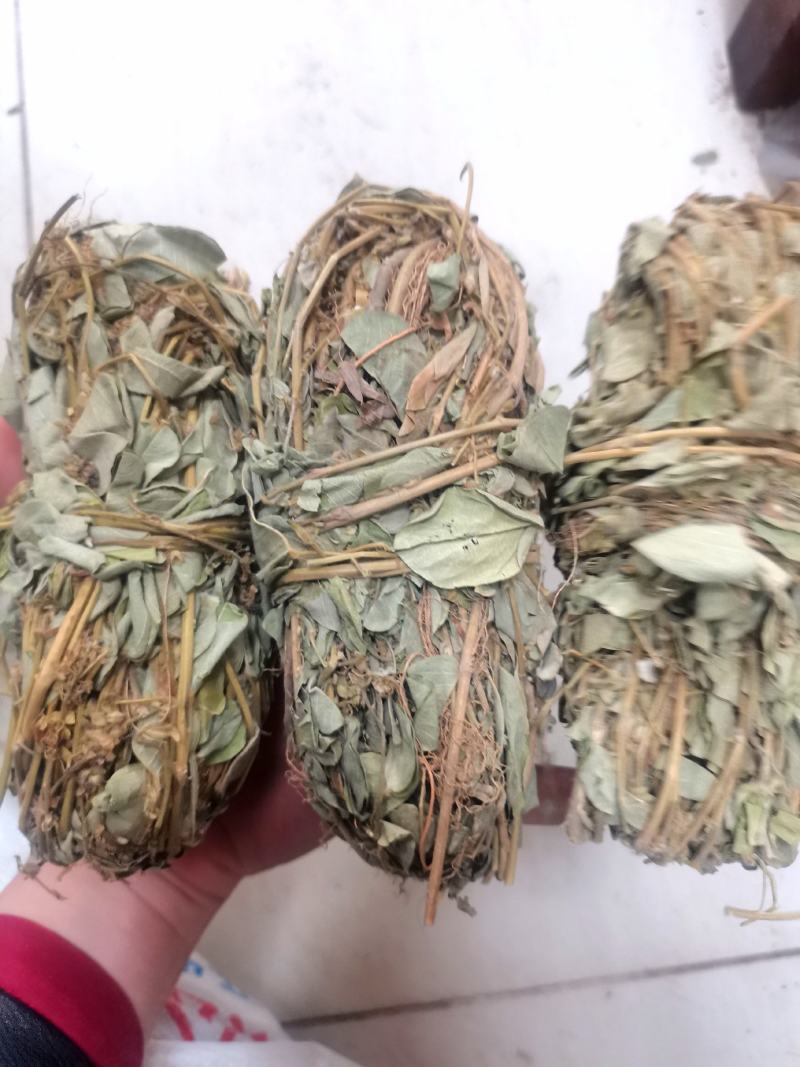 小扎金钱草干度好金钱草金钱草金钱草