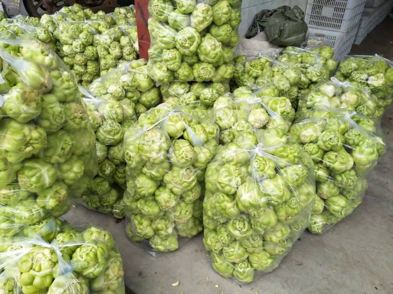 榨菜四川榨菜鲜榨菜基地大量有货有需要的老板联系