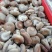 鲜香菇