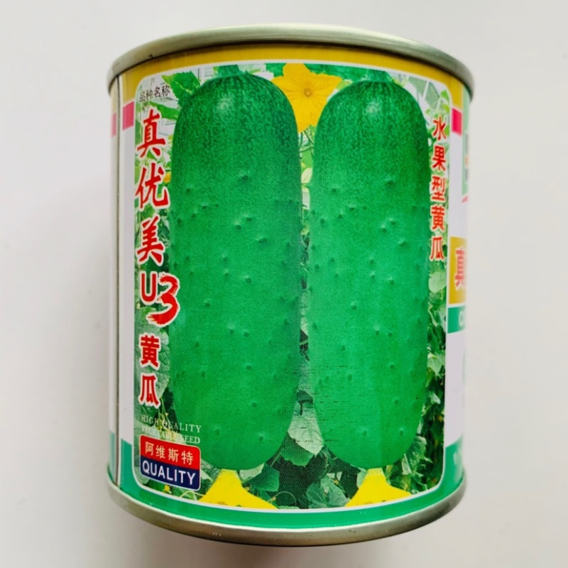水果型黄瓜种子真优美U3油亮嫩绿口感脆嫩早熟可连续结瓜