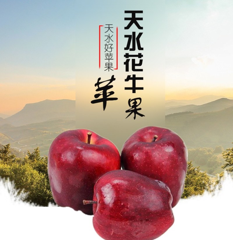 正宗天水花牛苹果新鲜蛇果一件代发新鲜水果