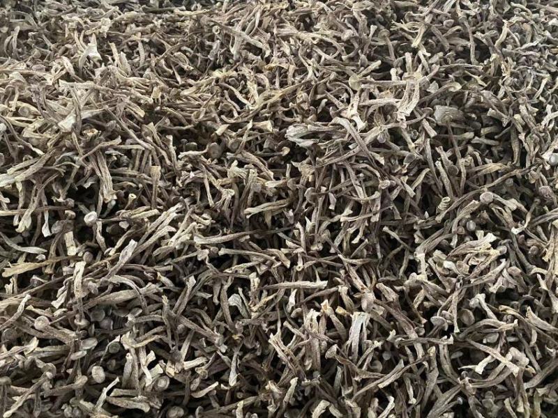 【牛商推荐】丹阳鹿茸菇干货产地直发保质保量量大从优