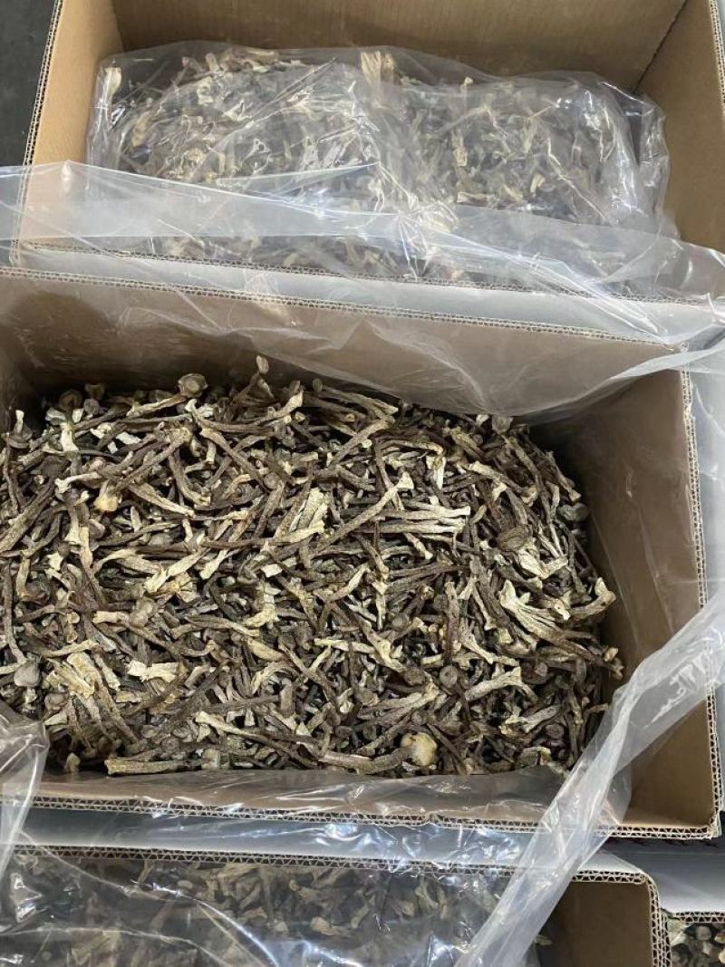 【牛商推荐】丹阳鹿茸菇干货产地直发保质保量量大从优