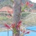 云南香椿芽/高山种植不打药/批发一件代发/电商供应