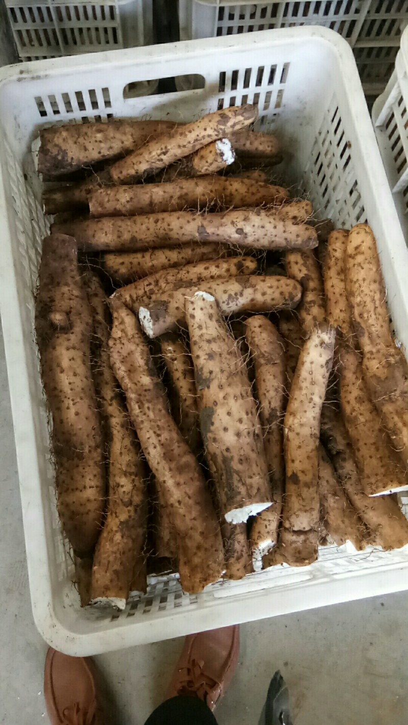 精品小货
