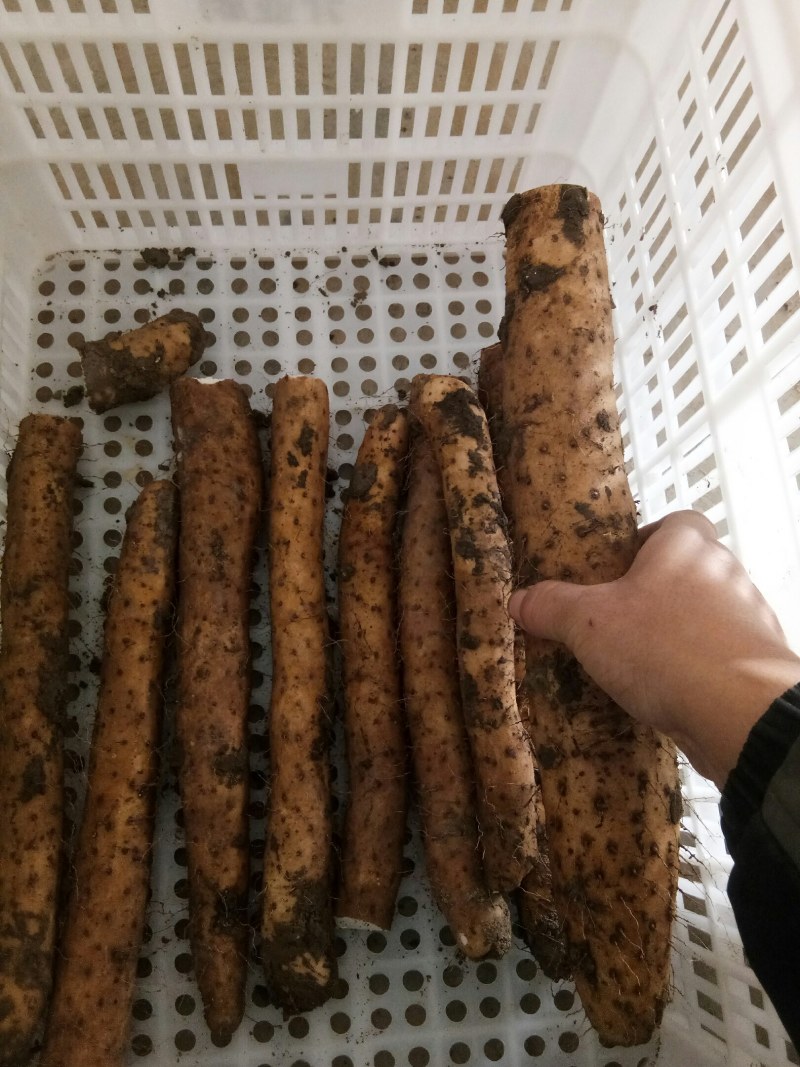 精品小货