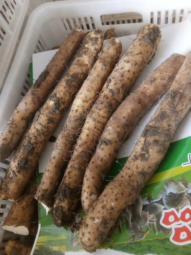 精品小货