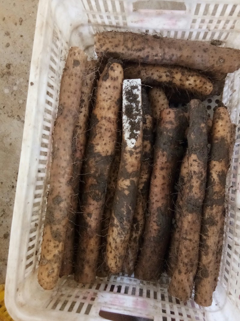 精品小货