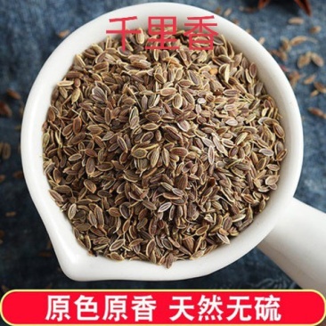 千里香七里香欢迎咨询