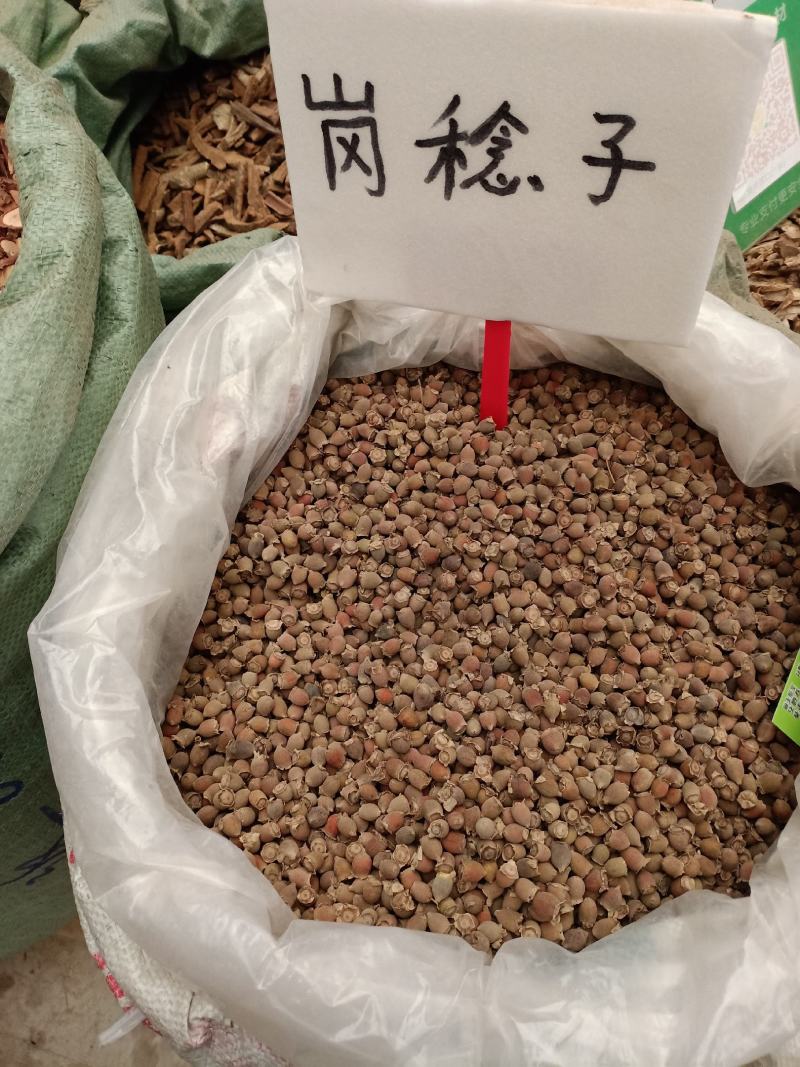 山捻子果桃金娘山棯子果山菍子果豆稔岗稔仔新货干货