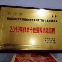 贵州猕猴桃品种贵长，合作社产地直发质优价廉欢迎选购。