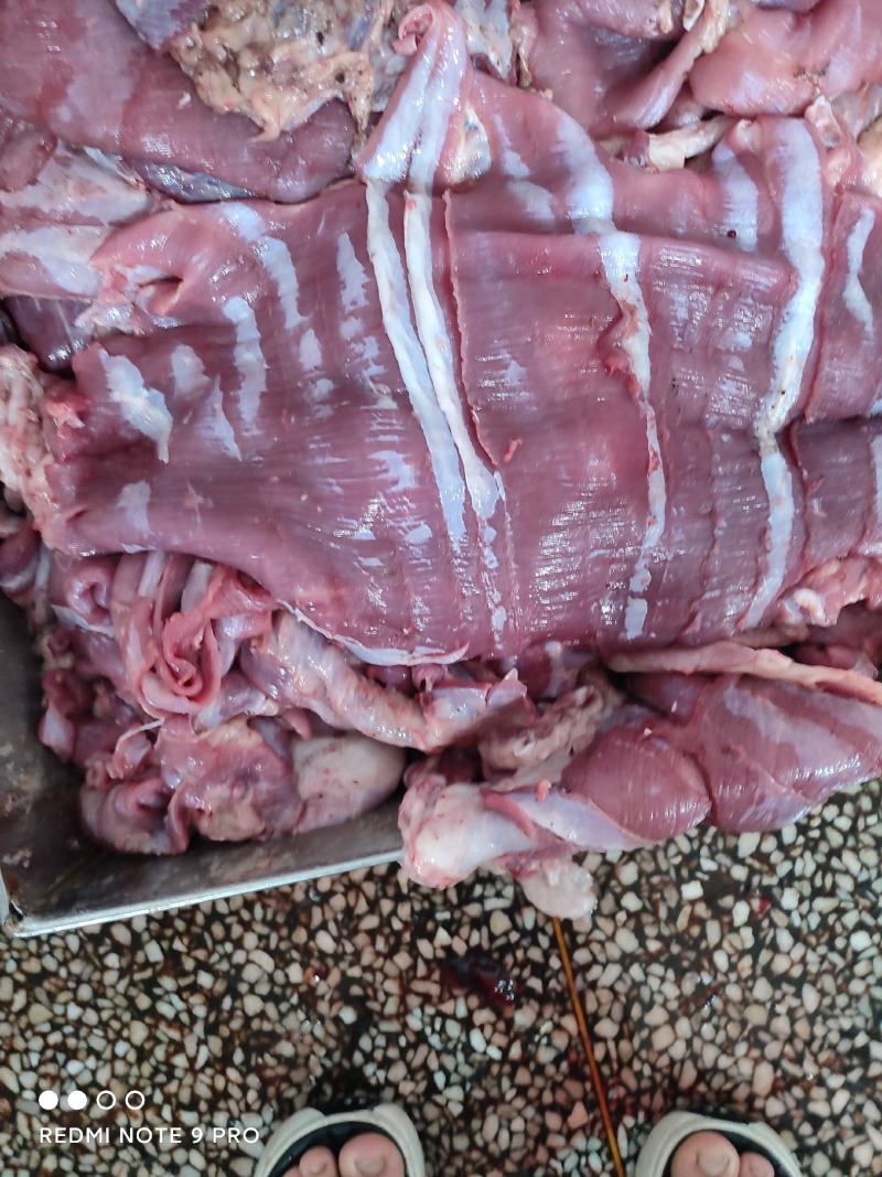 纯干皮肉，云皮肉大片皮肉，干净鲜亮