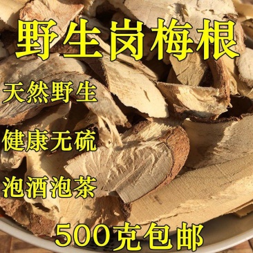 岗梅根中药材天然纯新货山土甘草山梅根岗梅根