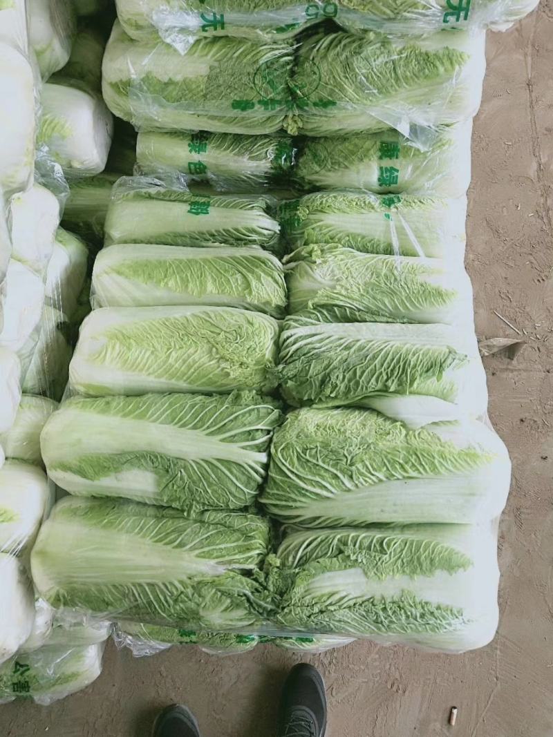山东省济南市平阴县，北京新三号白菜，大量供应，质量好，