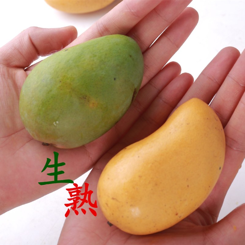 海南小台芒新鲜热带水果芒果皮薄核小5斤包邮