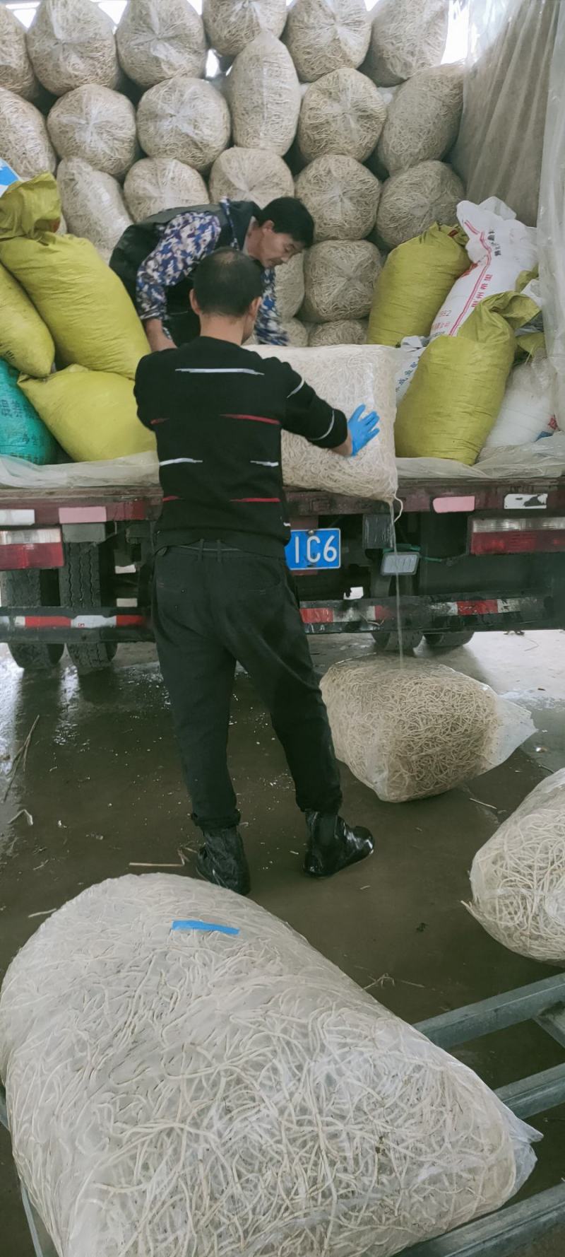 鱼腥草折耳根，欢迎电商社区团购真空包装质量保障欢迎来电