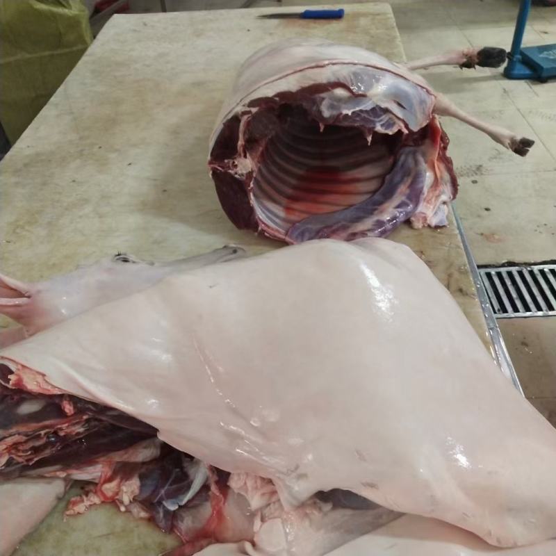 东北吉林梅花鹿鹿肉