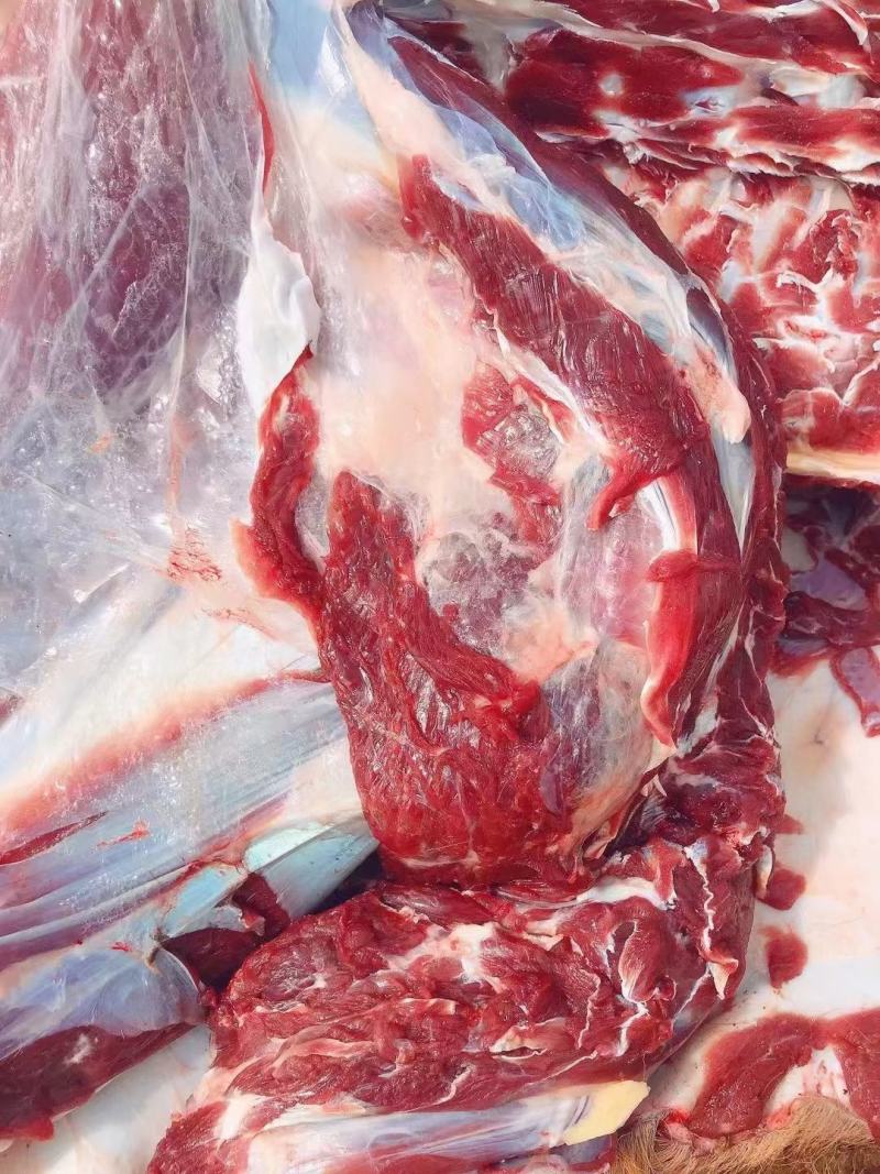东北吉林梅花鹿鹿肉