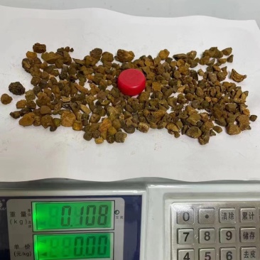 天然牛黄有要的老板联系我现货一斤多