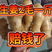 【优选】生姜产地一手货源【供电商超市农贸市场】坏烂包赔