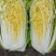 145大白菜***********