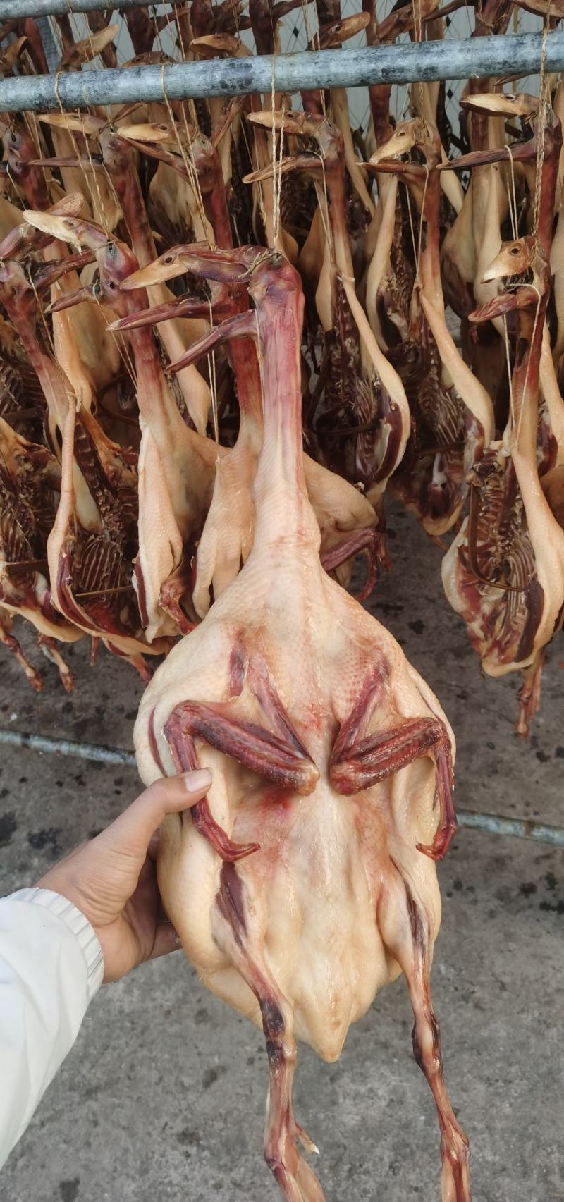 连州东陂农家腊老鸭（可一件代发）