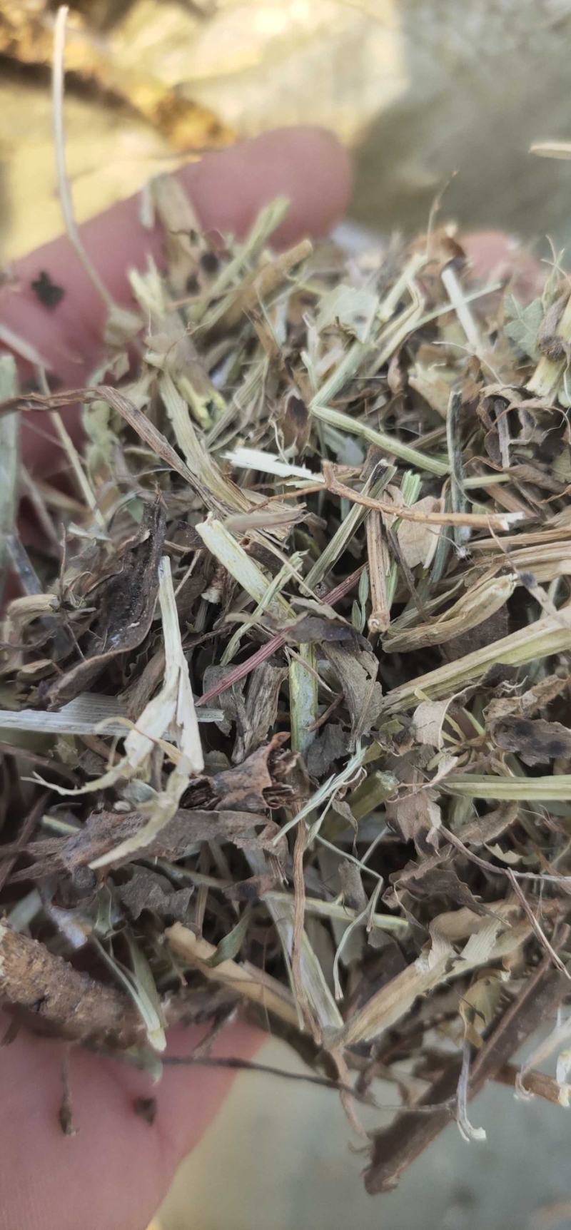 原阳县老张花生秧草料细粉无土无膜无霉变欢迎各商户用户定购