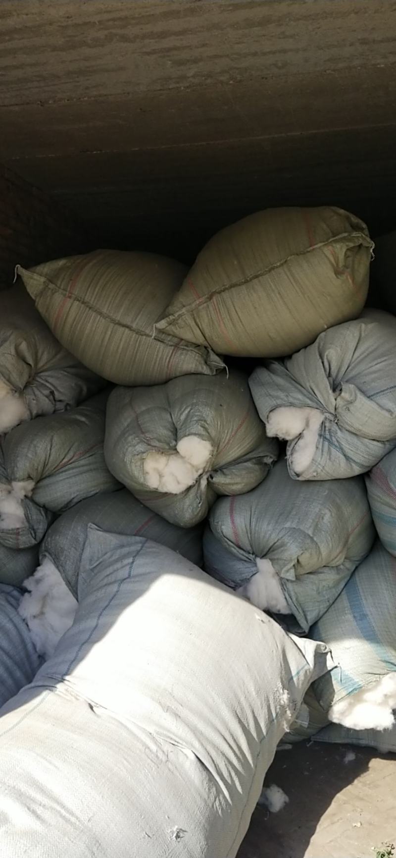 羊毛（各种规格，各种用途羊毛）