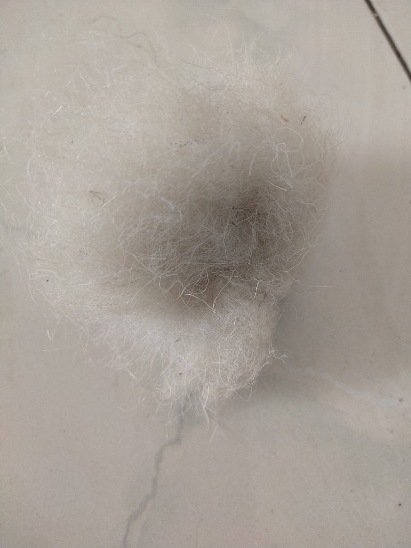 羊毛（各种规格，各种用途羊毛）