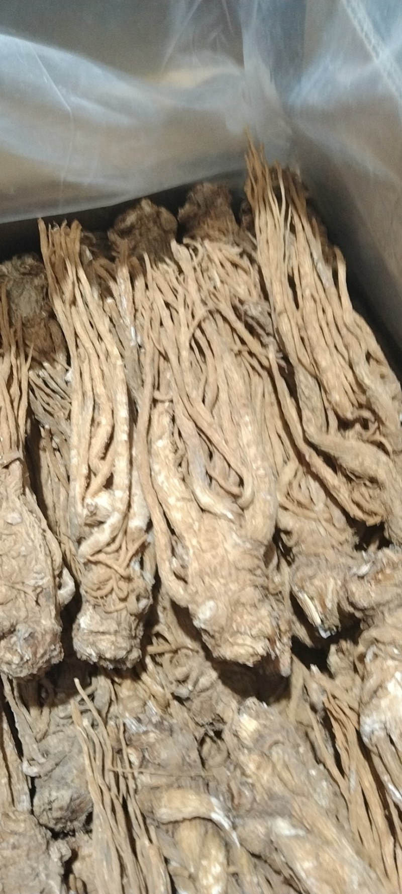 岷县当归头中心当归片黄当归条大量上市批零兼营
