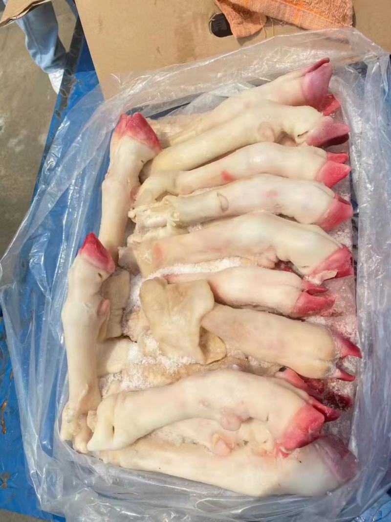 羊蹄，大中小号都有，观迎咨询！各种规格！！量大来谈