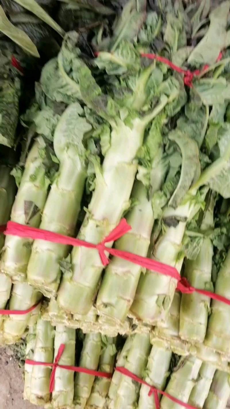 【推荐】南阳精品莴笋，红叶莴笋，产地直发，质量好欢迎