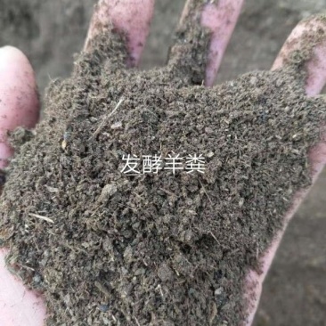 羊粪发酵有机肥河北石家庄发货粉末状水份低