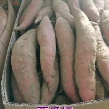 西瓜红，哈密，出售，保甜