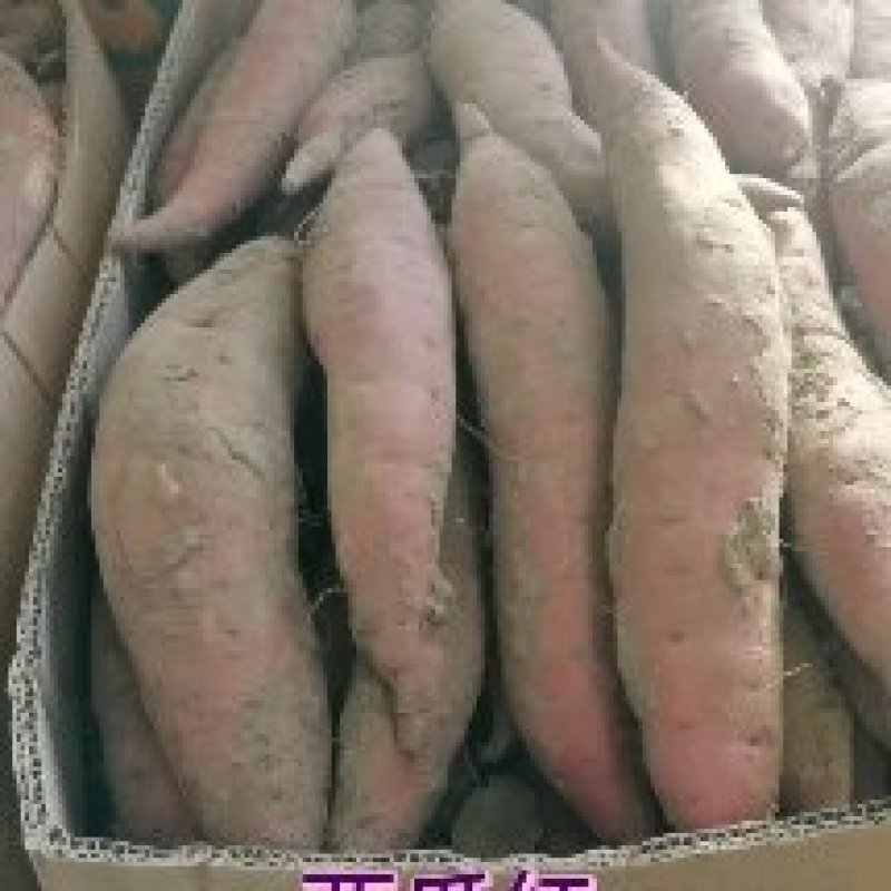 西瓜红，哈密，出售，保甜
