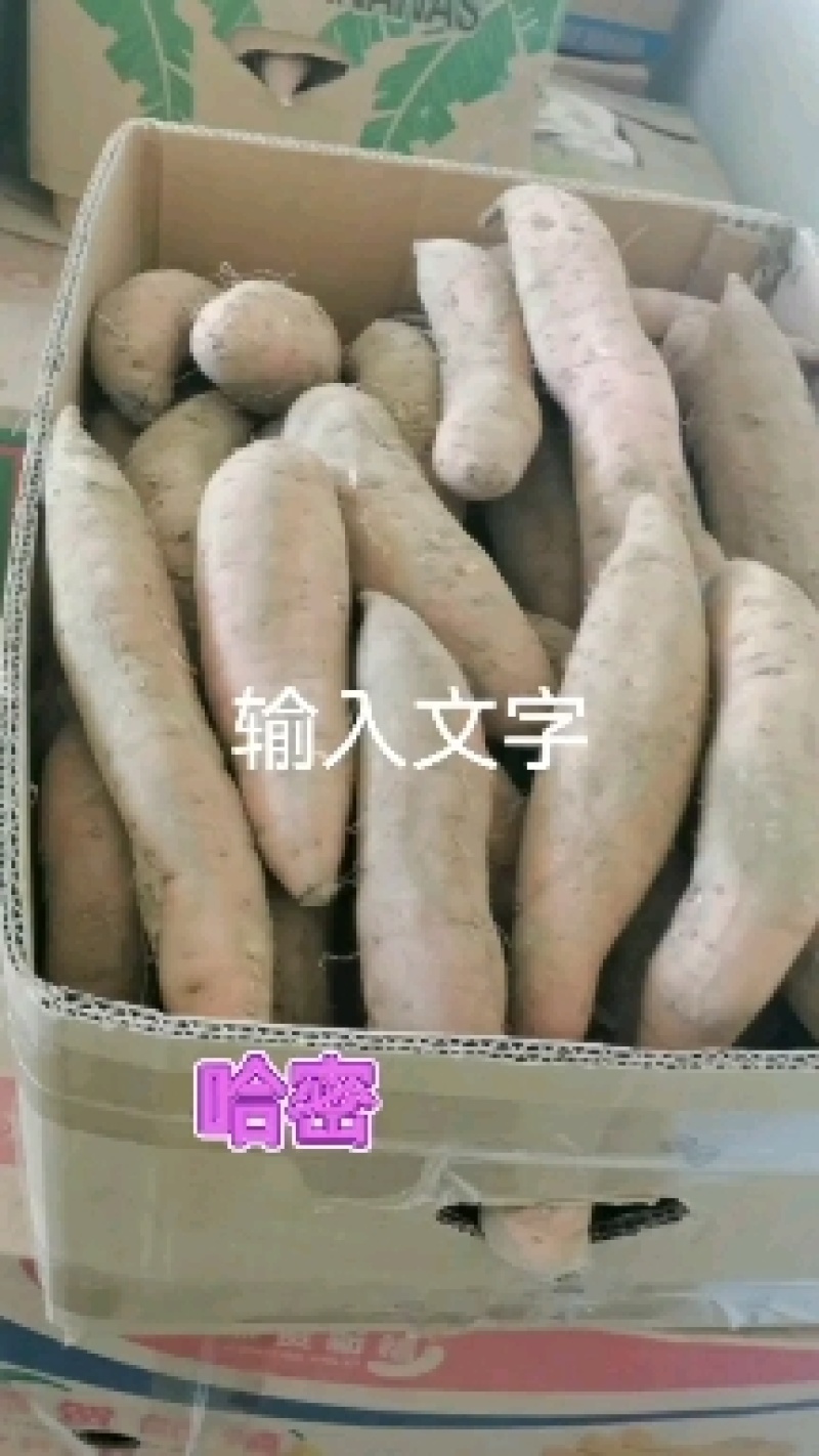 西瓜红，哈密，出售，保甜