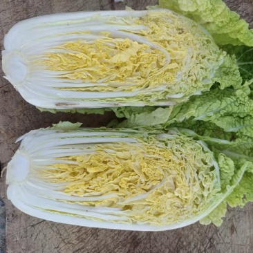 精品娃娃菜