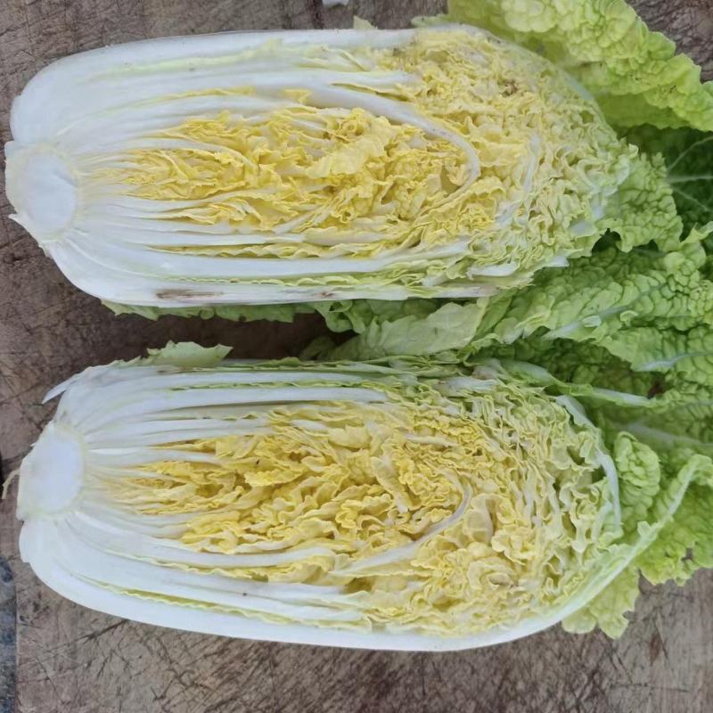 精品娃娃菜