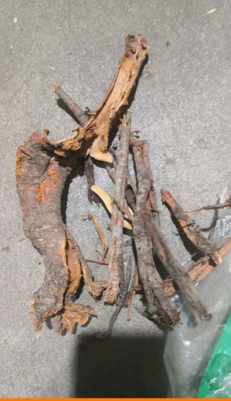 苦里根睇牛仔去芯货苦里脚根黎辣根纯干货